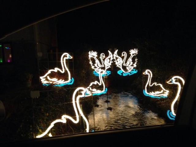 @beckiePA 2h Looking as festive as ever @angarrackinfo - well done - another impressive display! #angarrackxmasl @beckiePA 2h Looking as festive as ever @angarrackinfo - well done - another impressive display! #angarrackxmasl